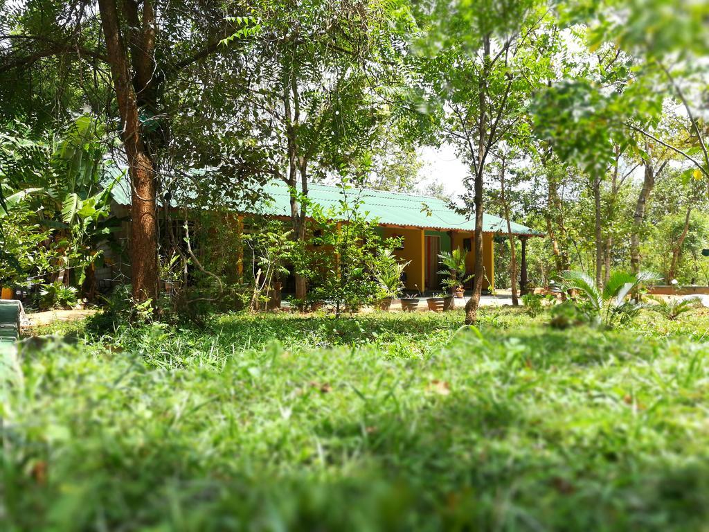 Sigiri La Veranda Lodge Sigirîya Extérieur photo